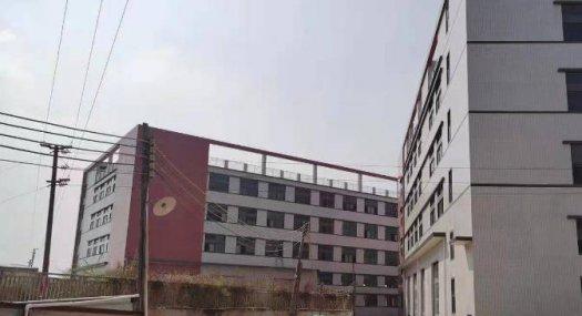 广州白云 凤翔中路6000㎡ 厂房租售层高5米 跨度20米 配电315KVA 独院 可环评