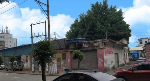 广州番禺 7155㎡ 框架厂房租售配电200KVA