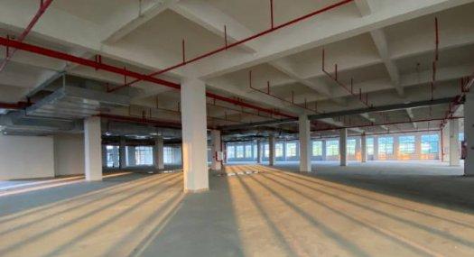 广州黄埔 10000㎡ 厂房租售层高5米 可环评 可分租