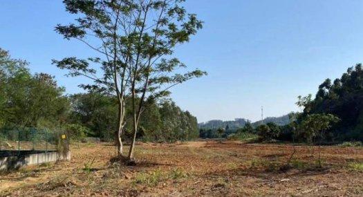 广州增城 佰家乐光辉农场 45亩独门山地出租