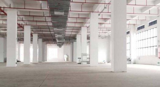 广州黄埔 瑞发路10800㎡ 厂房租售层高7米 可分租