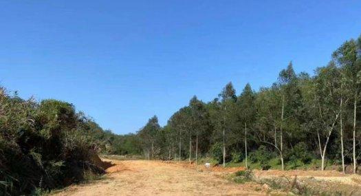 广州增城 佰家乐光辉农场 45亩独门山地出租