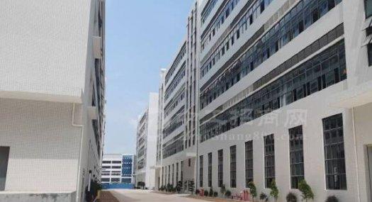 广州番禺 番禺区标准工业园区全新厂房出租 可分租60000㎡ 厂房租售 可环评 可分租