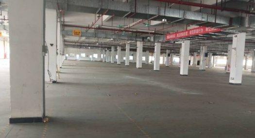 广州黄埔 4000㎡ 厂房租售 可环评