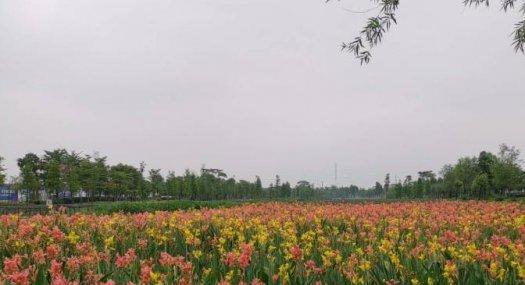 广州番禺开发商直销，50年产权厂房，两成首付