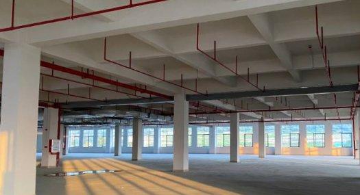 广州黄埔 10000㎡ 厂房租售层高5米 可环评 可分租