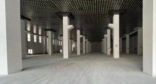 广州黄埔 东翔路附近25000㎡ 框架厂房租售层高9米 配电2500KVA 独院天车10吨 可环评