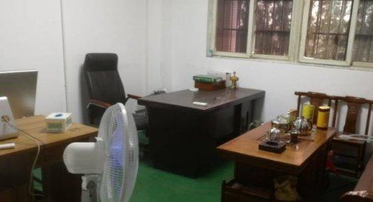 广州番禺 番禺区南村镇12000㎡ 厂房租售 独院 有蒸汽 有燃气 可环评