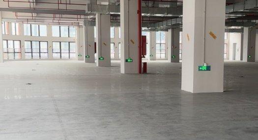 广州白云 33419㎡ 砖混厂房租售层高6米 配电1200KVA 独院 有燃气 可环评