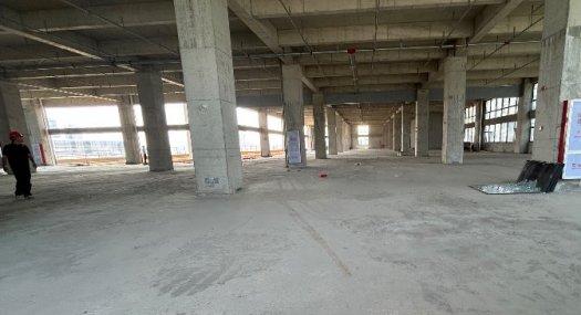 广州荔湾 广州市荔湾区广州园旁40000㎡ 厂房租售层高6.5米 配电380KVA 独院 可分租