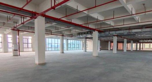 广州黄埔 6000㎡ 厂房租售层高7米 可环评