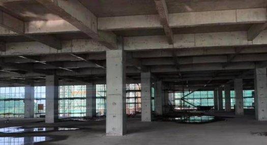 广州黄埔 姬堂 独栋 68000㎡ 厂房可租可售