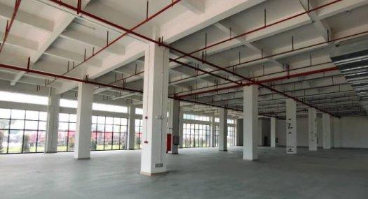 广州黄埔 10000㎡ 厂房租售层高5米 可环评 可分租