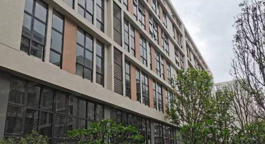 惠州惠城 惠州市惠城区水口街道办荔枝城工业大道320000㎡ 框架厂房出售层高7.5米 配电70KVA天车2吨 可环评