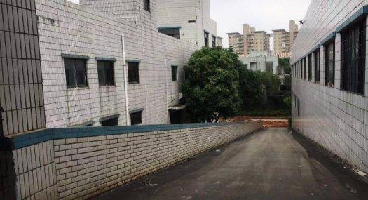 仲恺陈江独门独院带红本厂房40000平招租500平起可分租出售