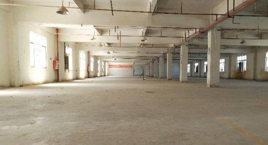 惠州惠阳 惠州惠阳镇隆区域8400㎡ 厂房租售层高5米 配电250KVA