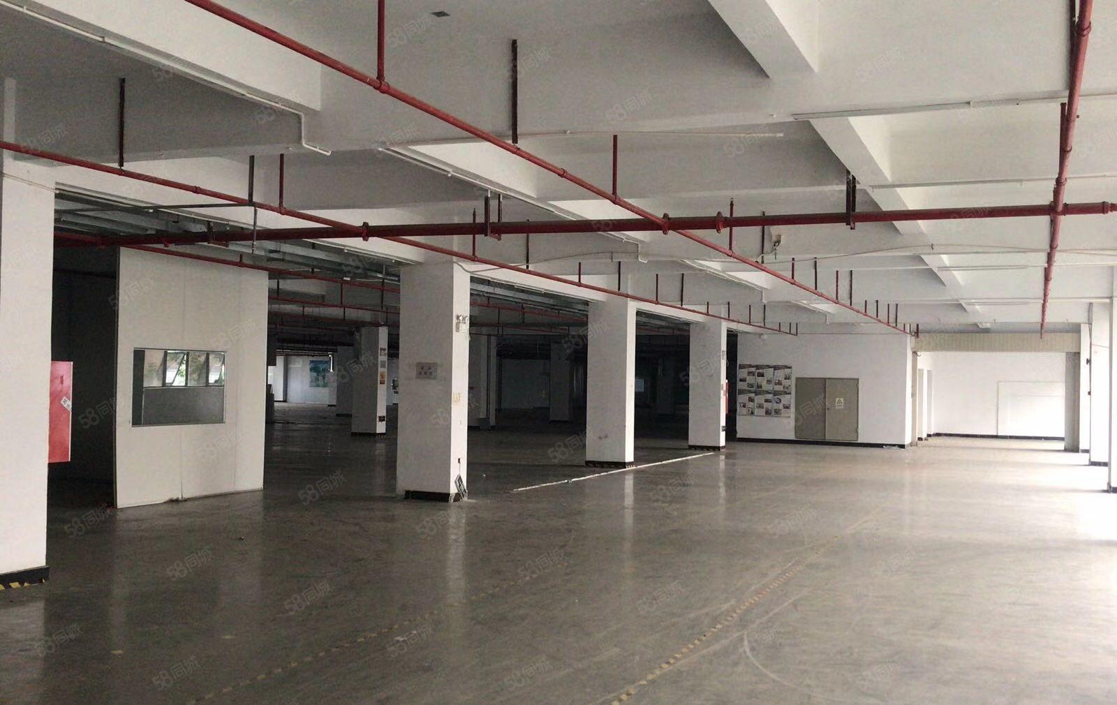 水口仲恺高新区新空出标准厂房一楼4000平花园式厂房可分租