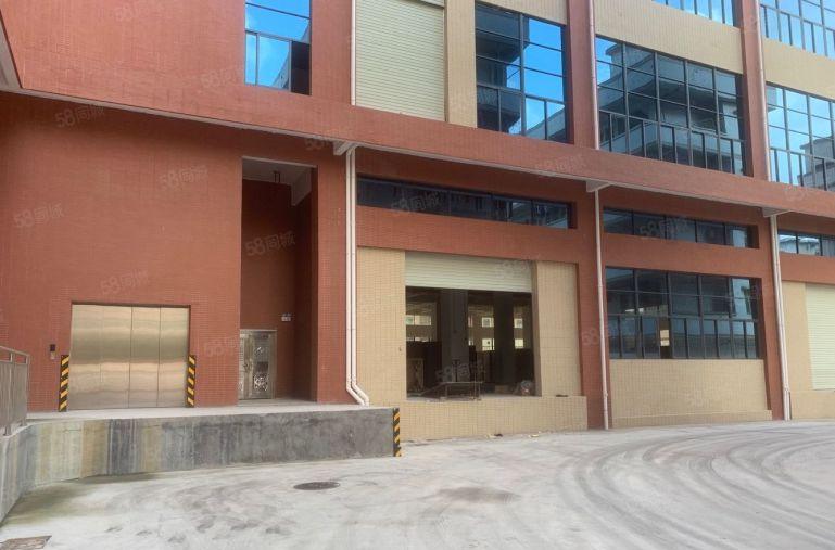 惠城小金口55000平原房东园区仓库仓库厂房出租超大空地