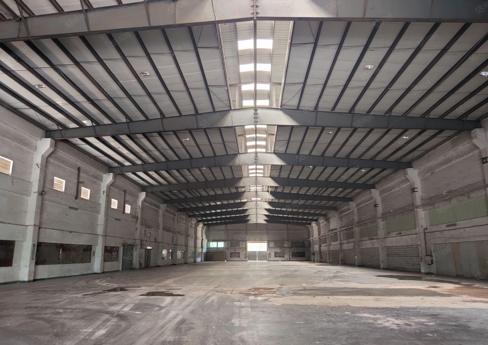 水口 华阳科技产业园4600平钢构 滴水11米