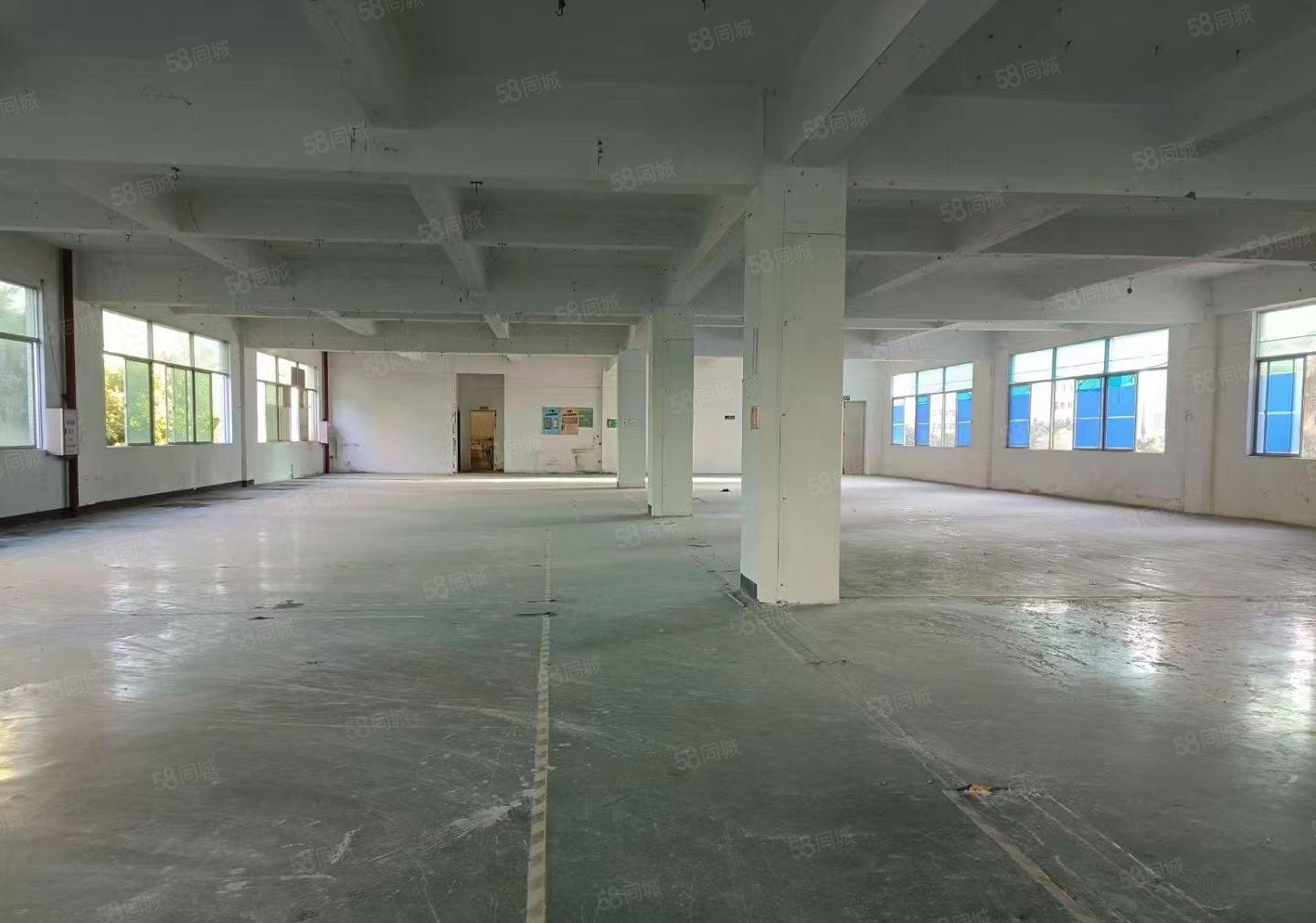 水口大湖溪原房东一楼600平方标准厂房出租 租金18