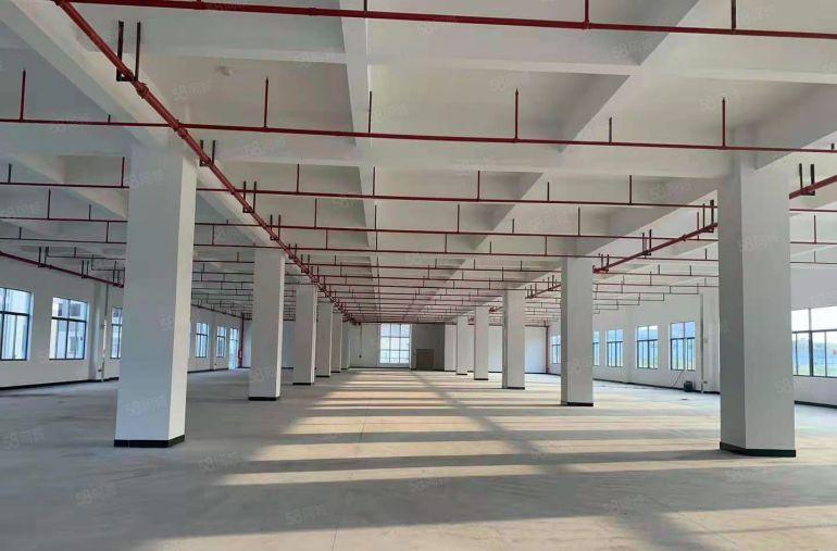 惠城区水口东江高新区全新厂房20000平方低价9元出租