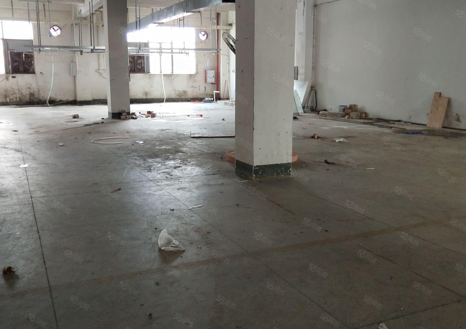 马安新乐工业区1楼940平米标准厂房出租