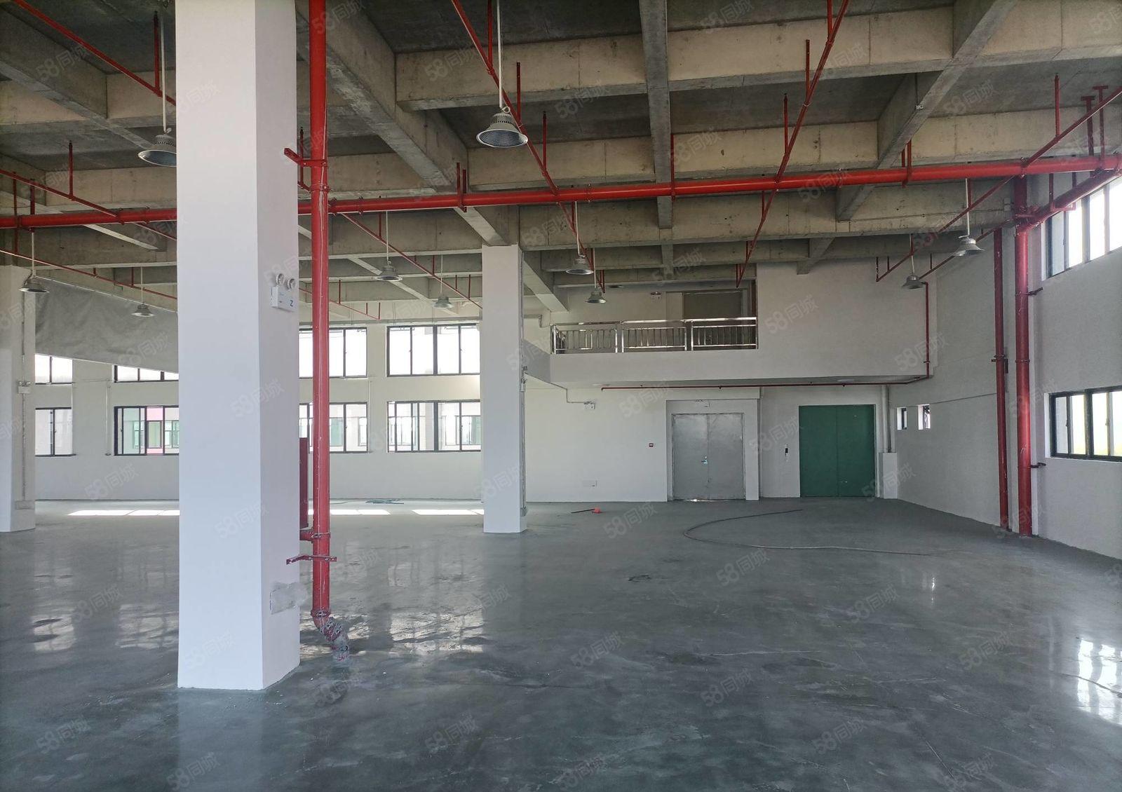 （信）原房东独院12000平，性价比高，办厂14元