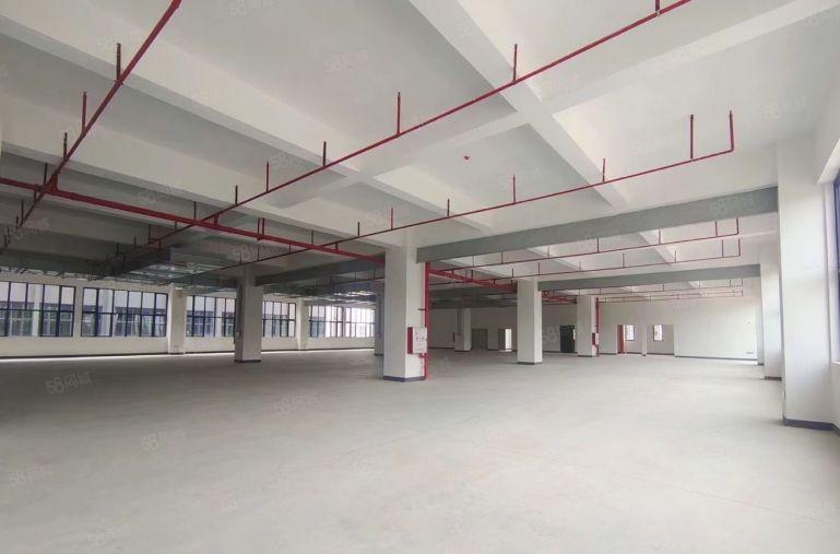 水口全新厂房一楼2400平方招租，租金16元 可分租