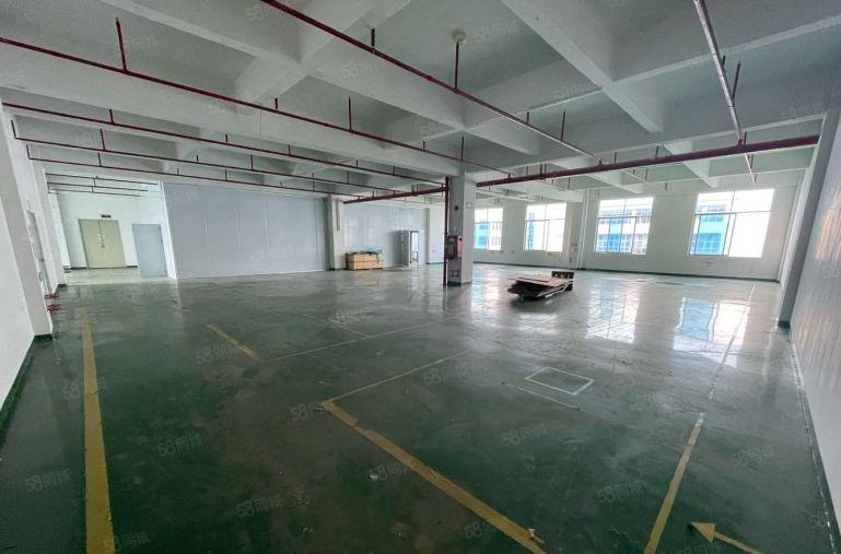 水口东江高新区1650平方厂房出租带装修