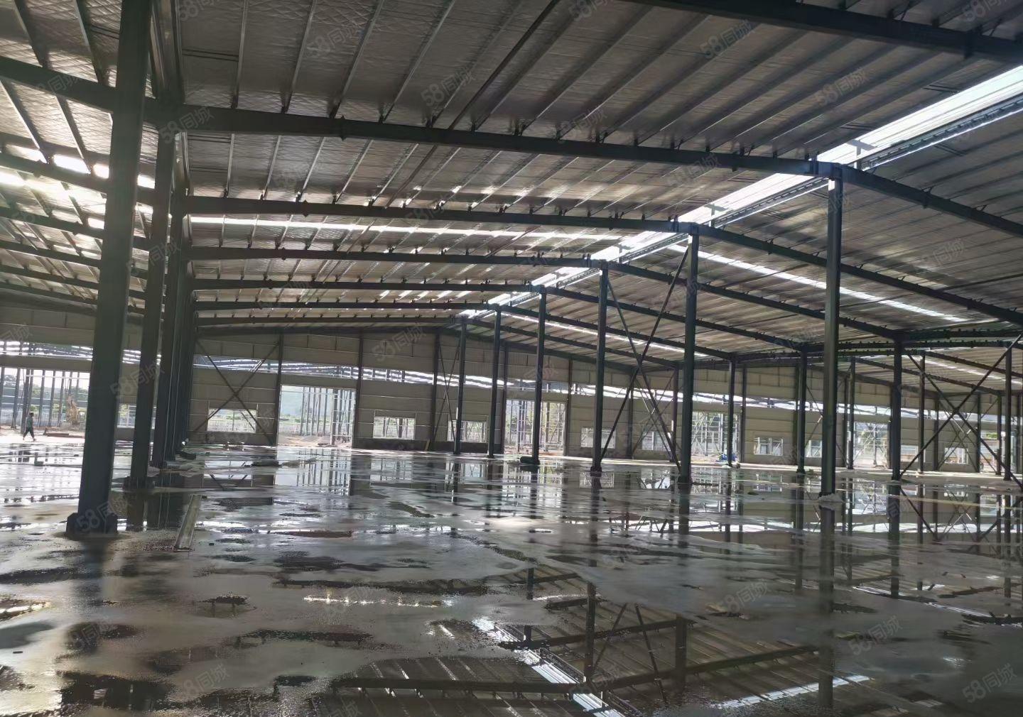 惠城区水口钢结构800平方厂房出租