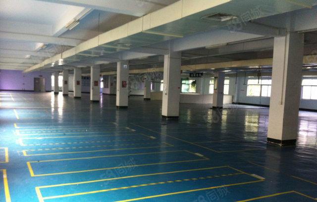 （无公滩）独院厂房4层6000平方