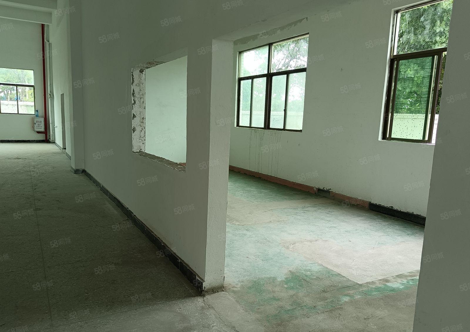 惠城区仍镇独门独院原房东红本全新厂房直租（可以包租）