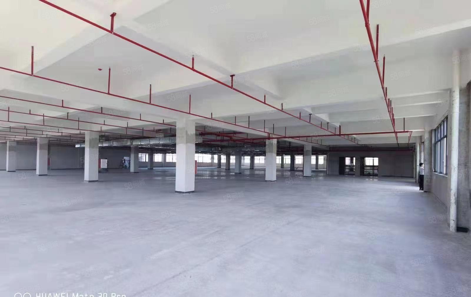 惠城区小金口标准工业园区2楼3楼无尘车间2350平方招租