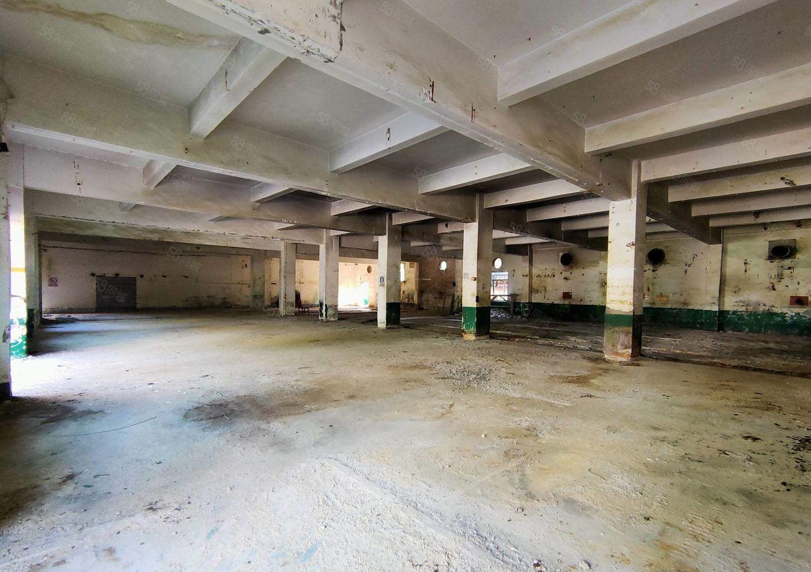 大湖溪原房东实际面积一楼600平方标准厂房出租