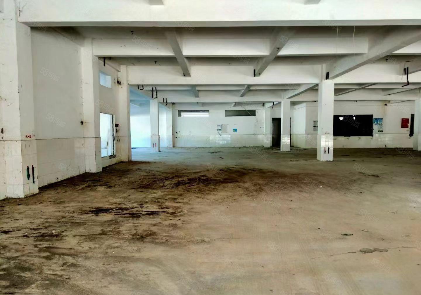 急租原房东大湖溪一楼600平，证件齐全，配套齐全，好招工