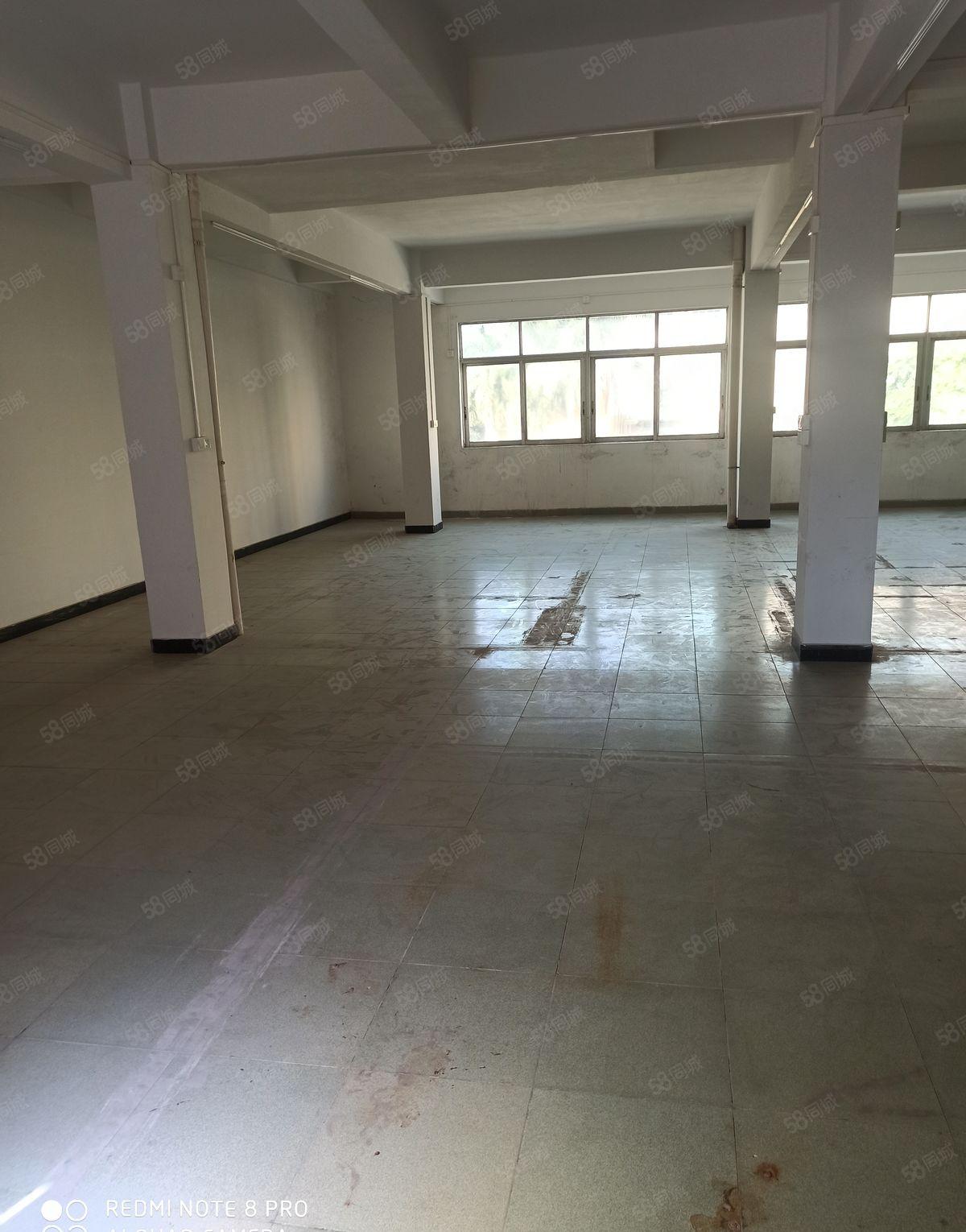 园区电梯带装修有530平860平1000平1350平1900