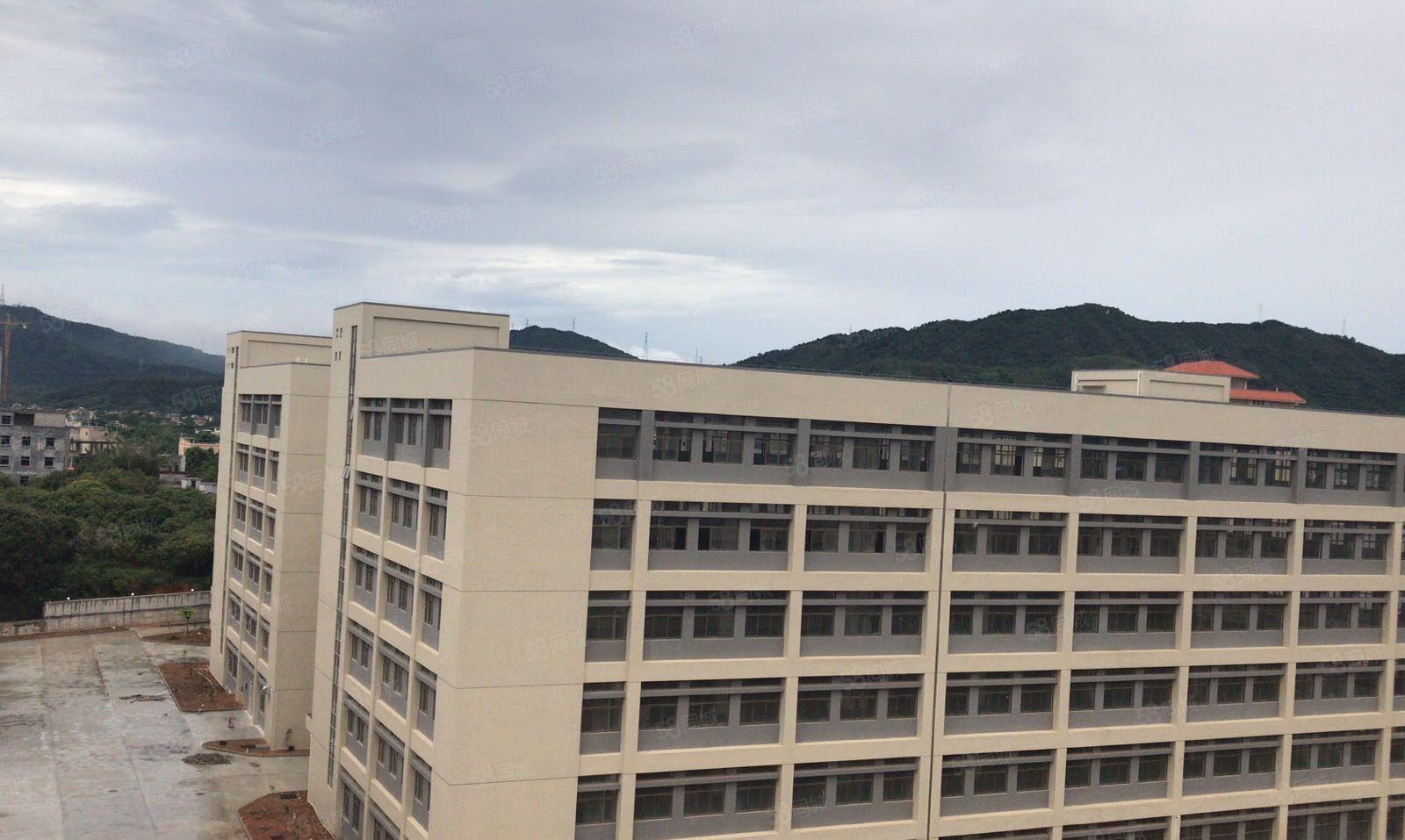 超靓新盘，原房东厂房