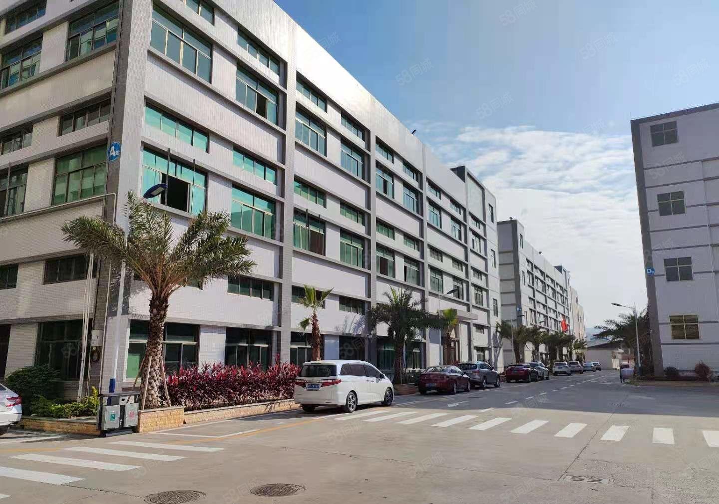 水口经典小独院6300平米出租，交通好，易招工