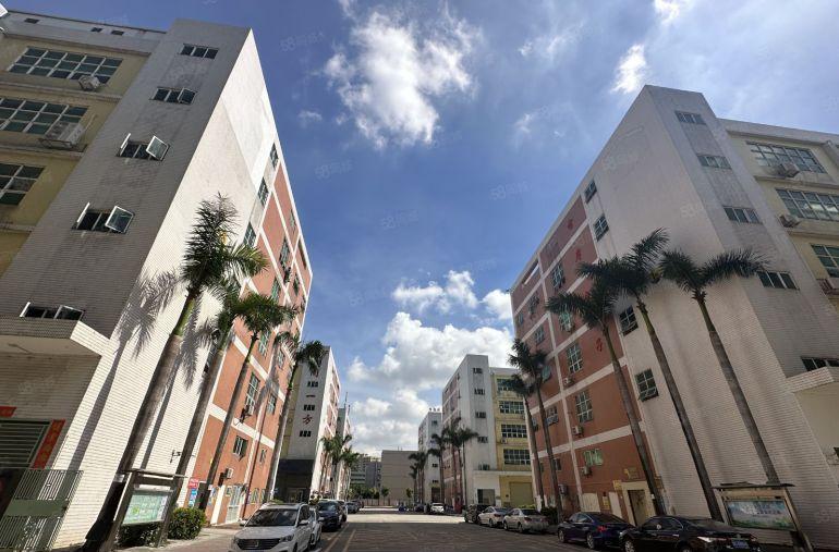 三栋原房东红本厂房实际面积，出租花园式独院厂房8元起租