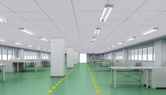 新盘招租，马安新乐厂房正式启用，形象好，位置佳，空地超大