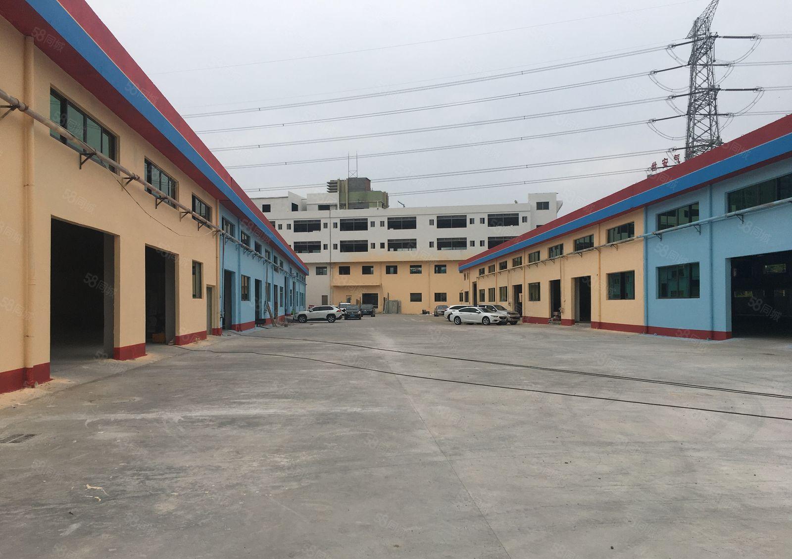 惠城小金口侨兴工业园独栋6400平钢构仓库厂房出租可分租
