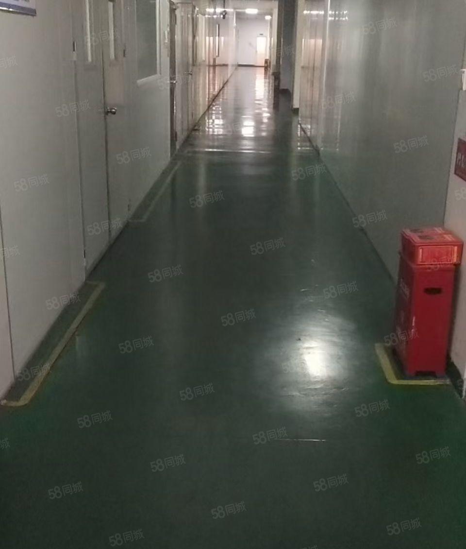 惠城区小金口附近工业区空出原房东2350平方标准无尘车间出租