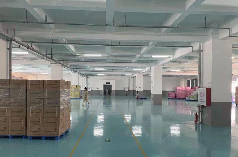 7元全新厂房出租你没看错