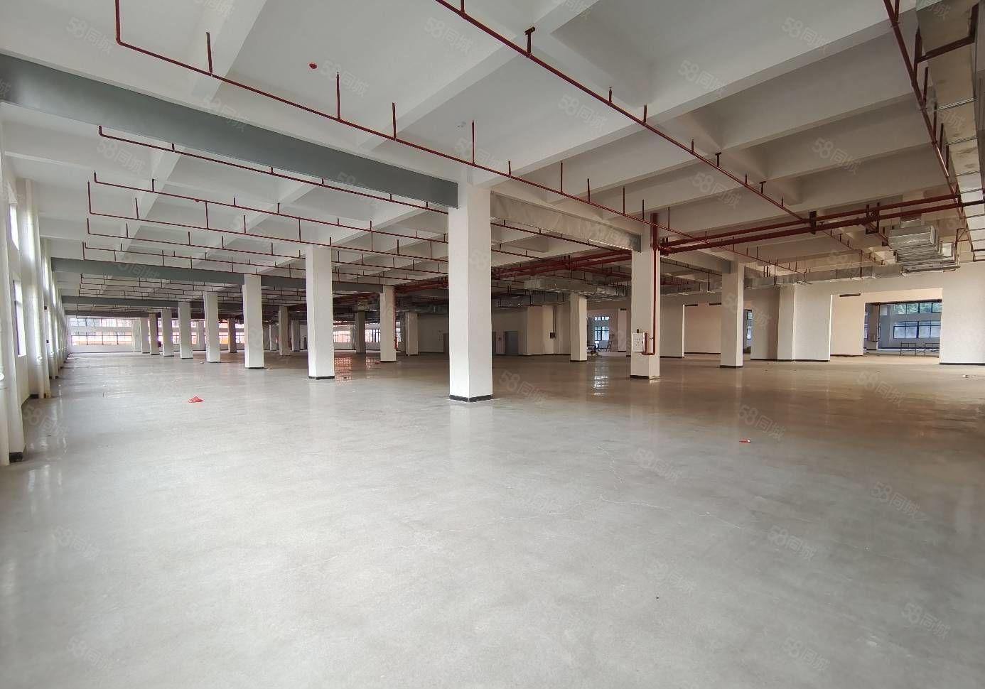 超长免租期，平潭怡发工业区全新厂房2000平方红本厂房出租