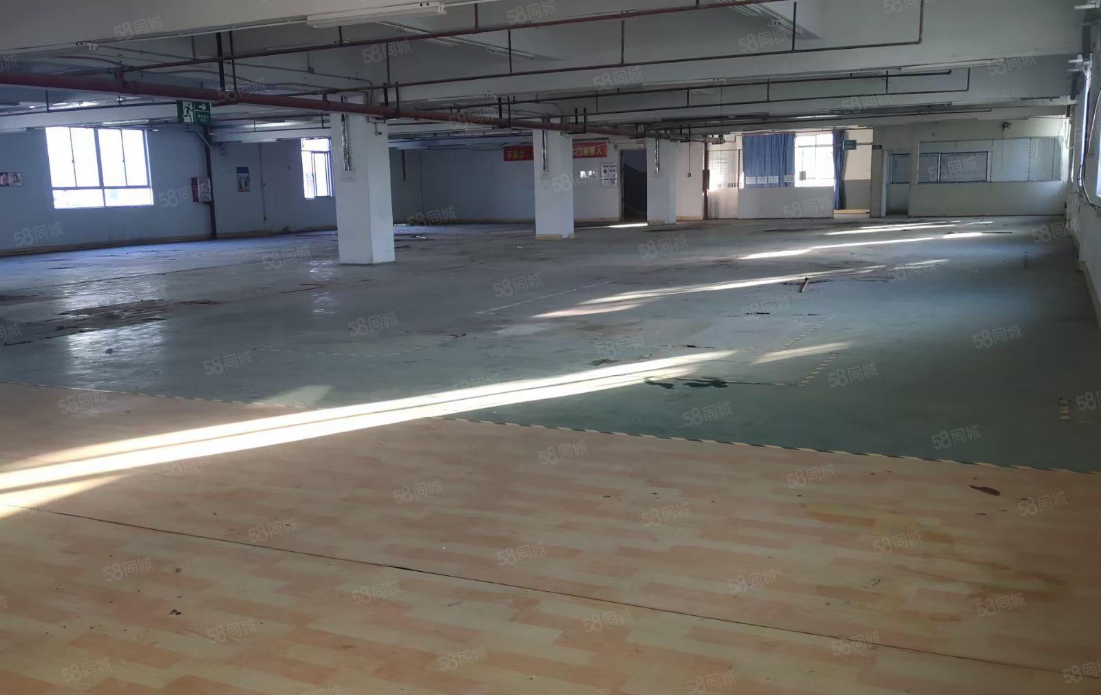 新乐独院花园厂房5250平方可分租