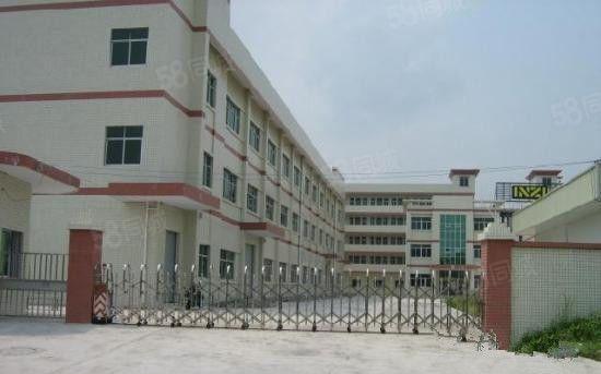 靓柏岗新空独院厂房5000平米招租