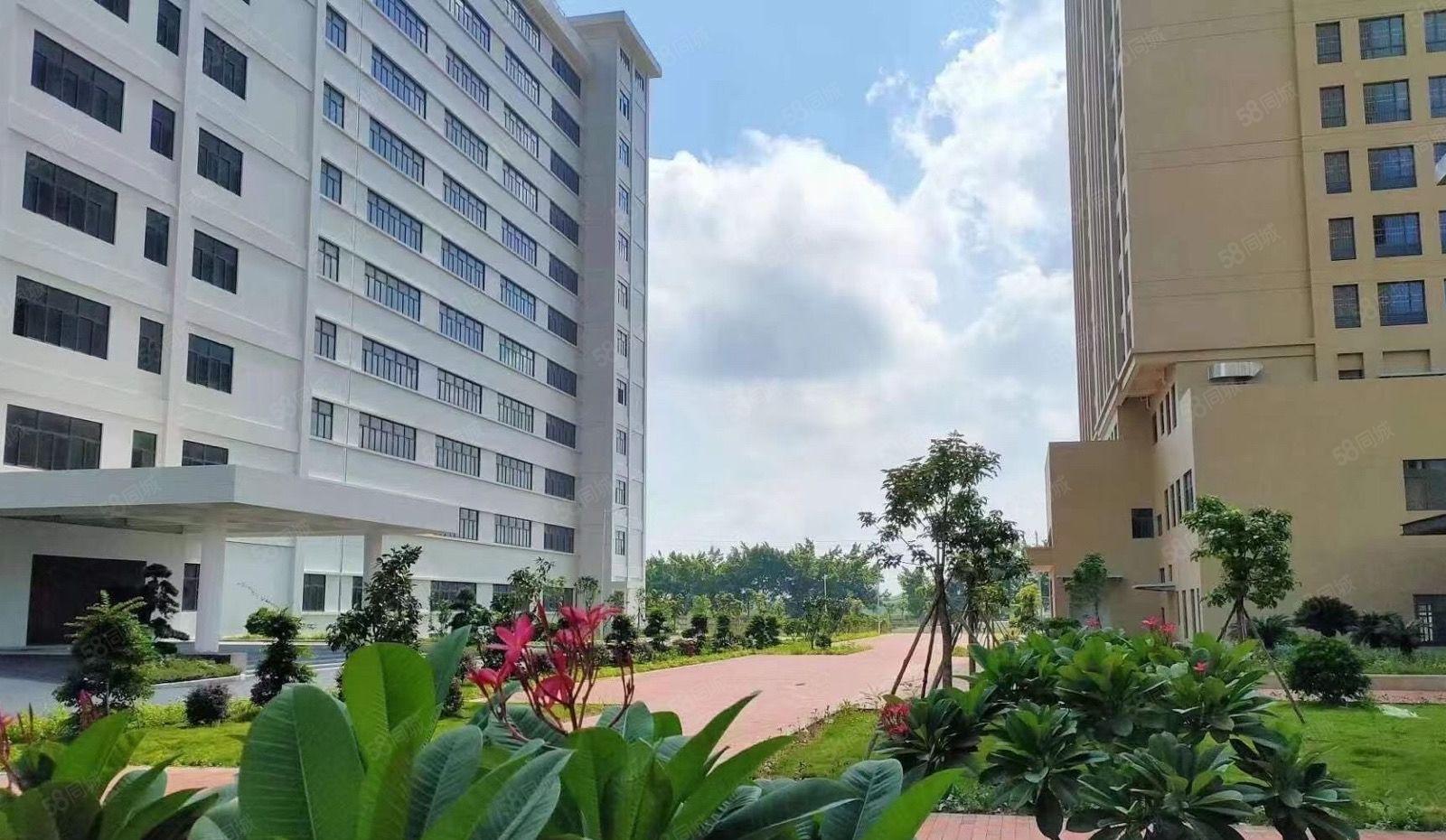 水口全新红本花园式厂房楼上厂房11元起租 可任意分租