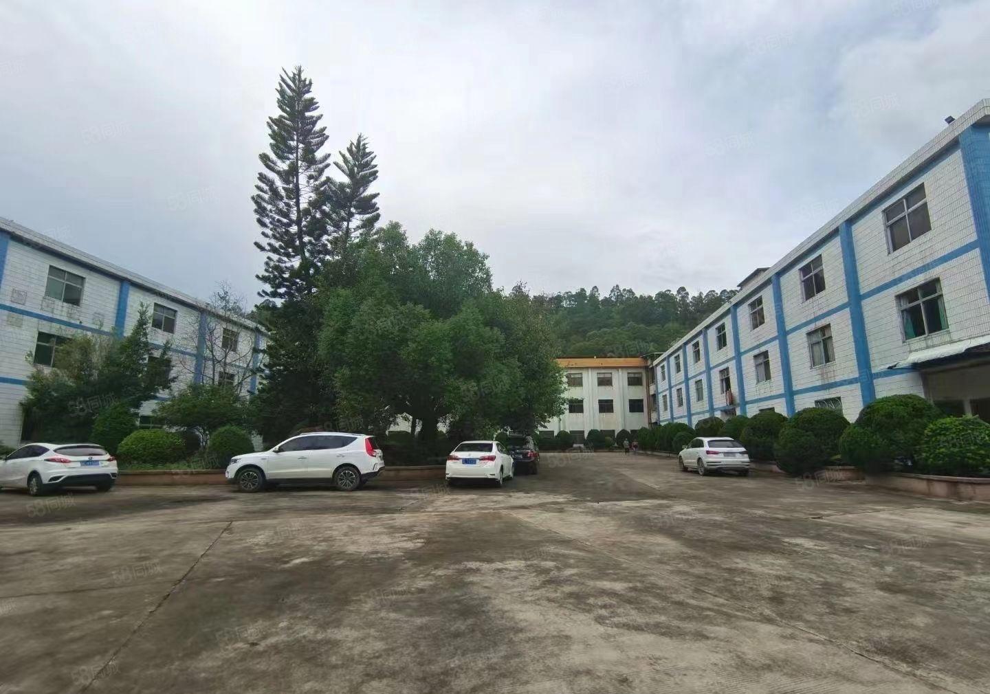 小金独院标准厂房1万平米出租，红本厂房带货梯空地大