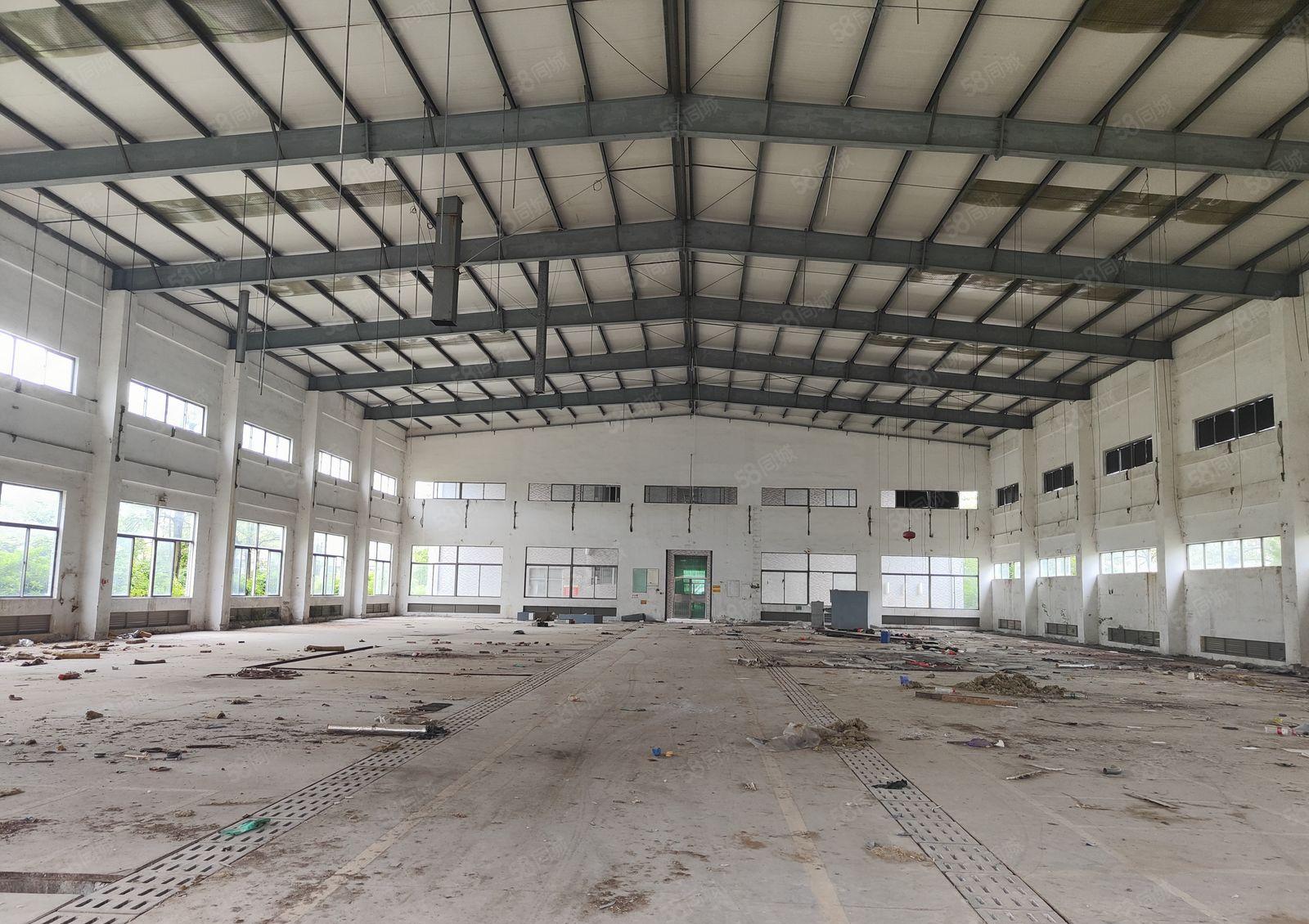 马安5万平米单层钢构出租，空地免费使用