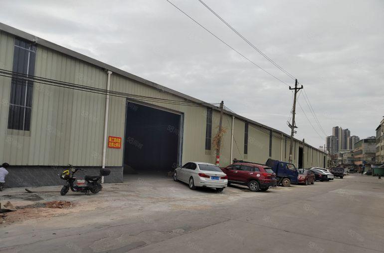 河南岸全新报建钢构8米滴水大小可以分租